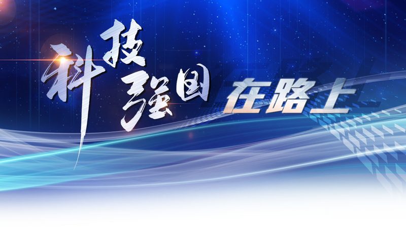 数字化改造，如何评估其实施效果？**