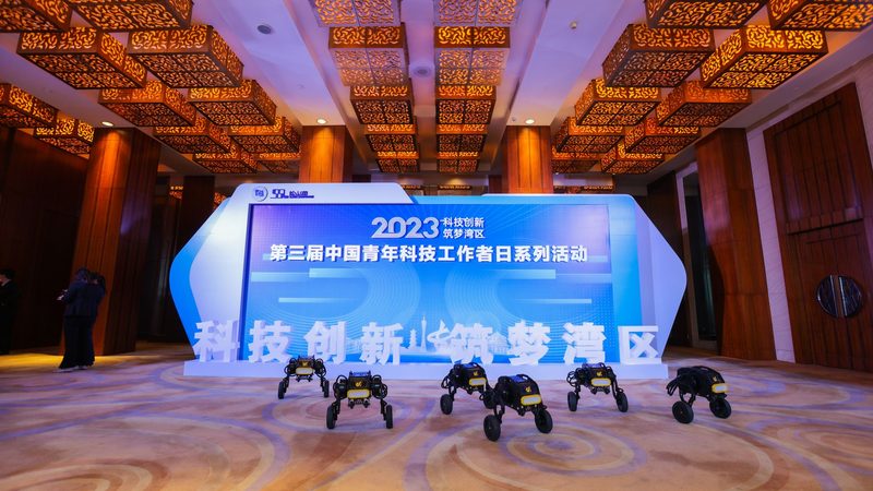 企业网络安全：如何选择可靠的代理加盟公司？**